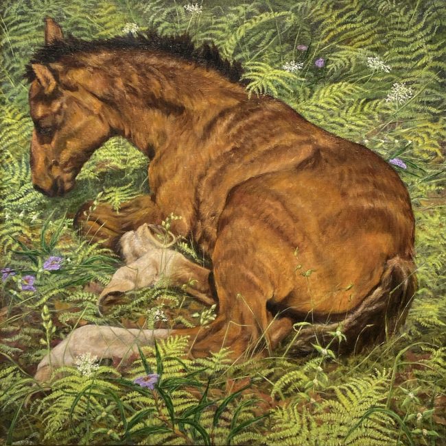 Foil and Ferns