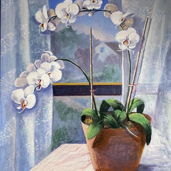 White Orchid