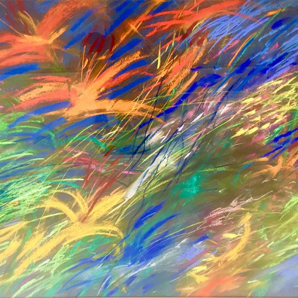 Yellow and Orange Daylilies