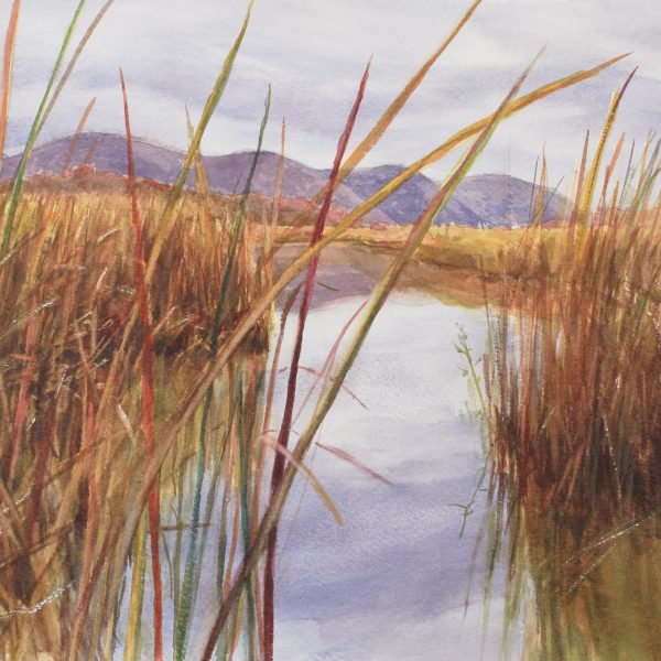 Through the Reeds