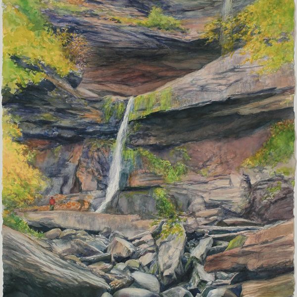Contemplating the Drought Contemplating the Drought 43" x 22" Watercolor
