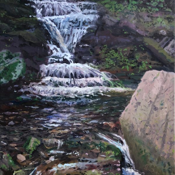 Close View of Halcott Falls