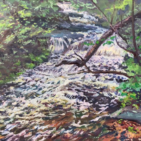 Roaring Creek Above Kaaterskill Falls