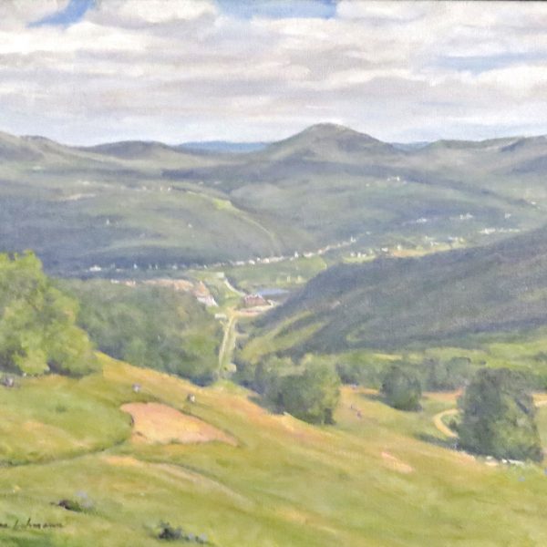 Over Looking the Gem of the Catskills