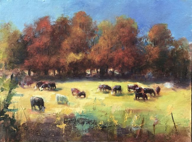 NY Cows