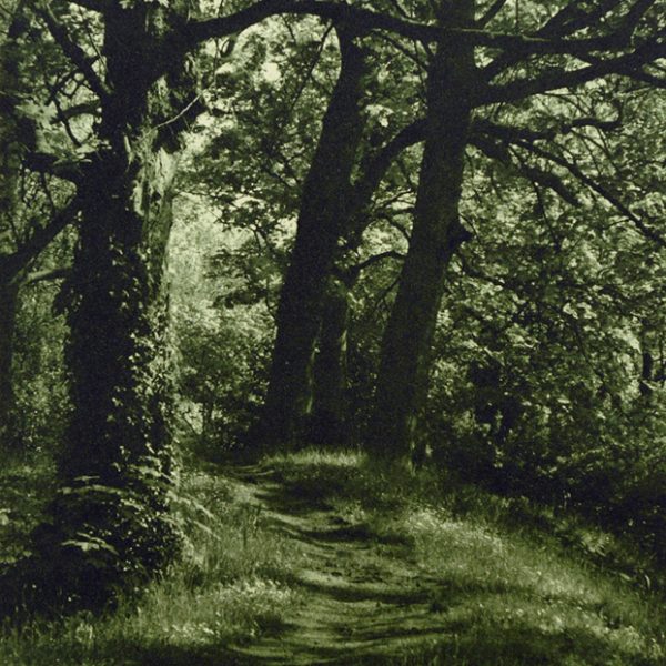 Enlightened Pathways I