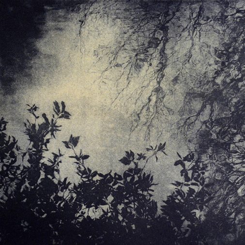 Harmonious Rhythm Il