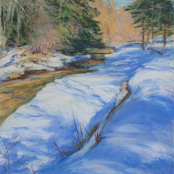 Woods, Sunlight and Shadow