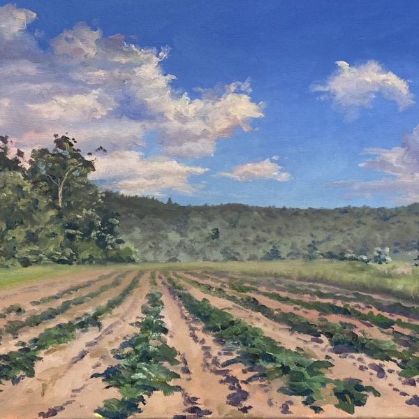Young Fields, RSK Farms