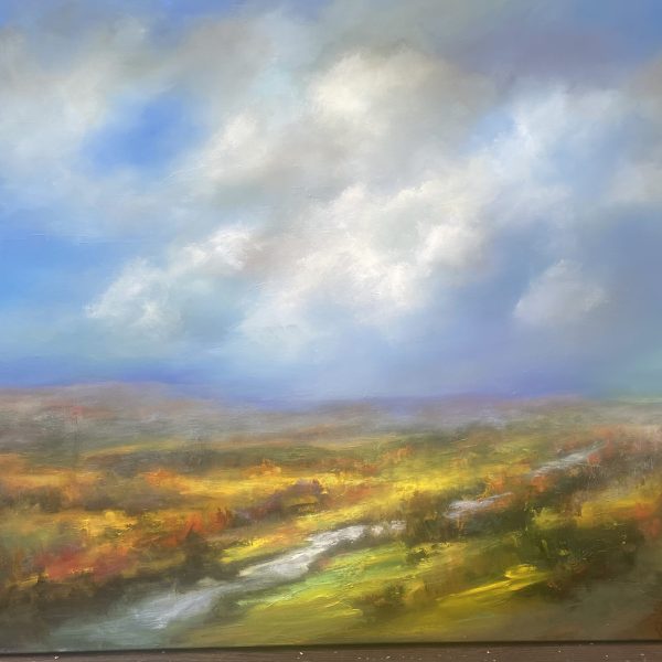 Fields of Light Fields of Light 30" x 48" Oil on Canvas