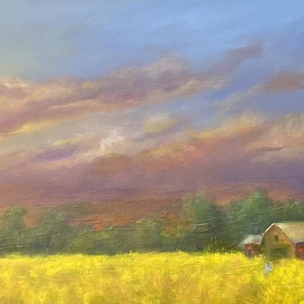 Morning Light on Farmland SOLD