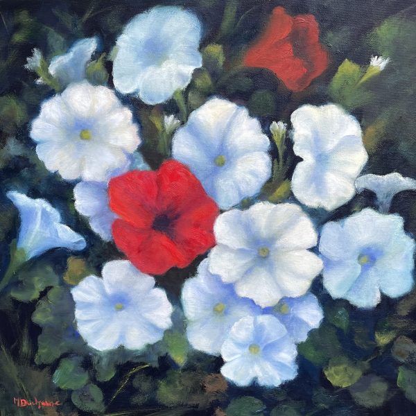 The Red Petunia The Red Petunia 20" x 20" Oil on Canvas