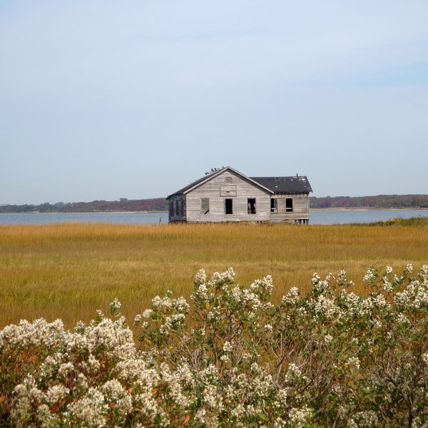 Southampton Solitude