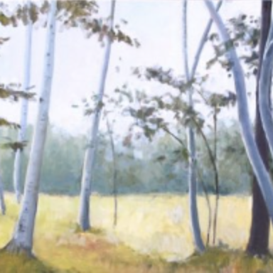 Birch Field