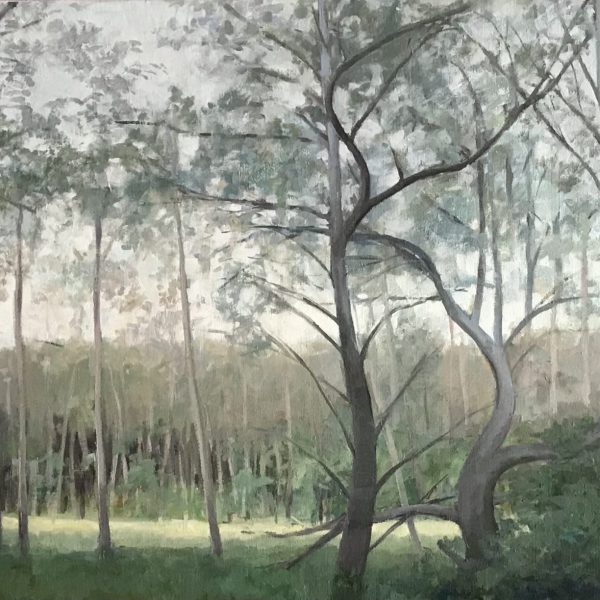 Poplar Grove