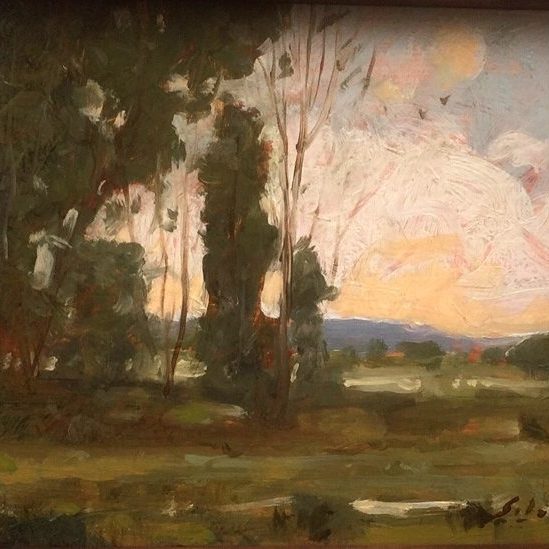 Summer Meadows