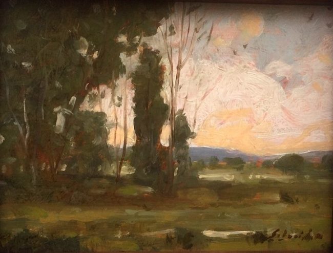 Summer Meadows