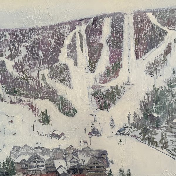 Windham After the Storm