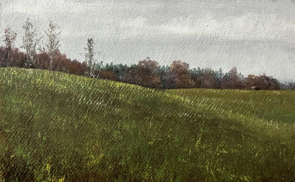 Fieldstones in October 2022