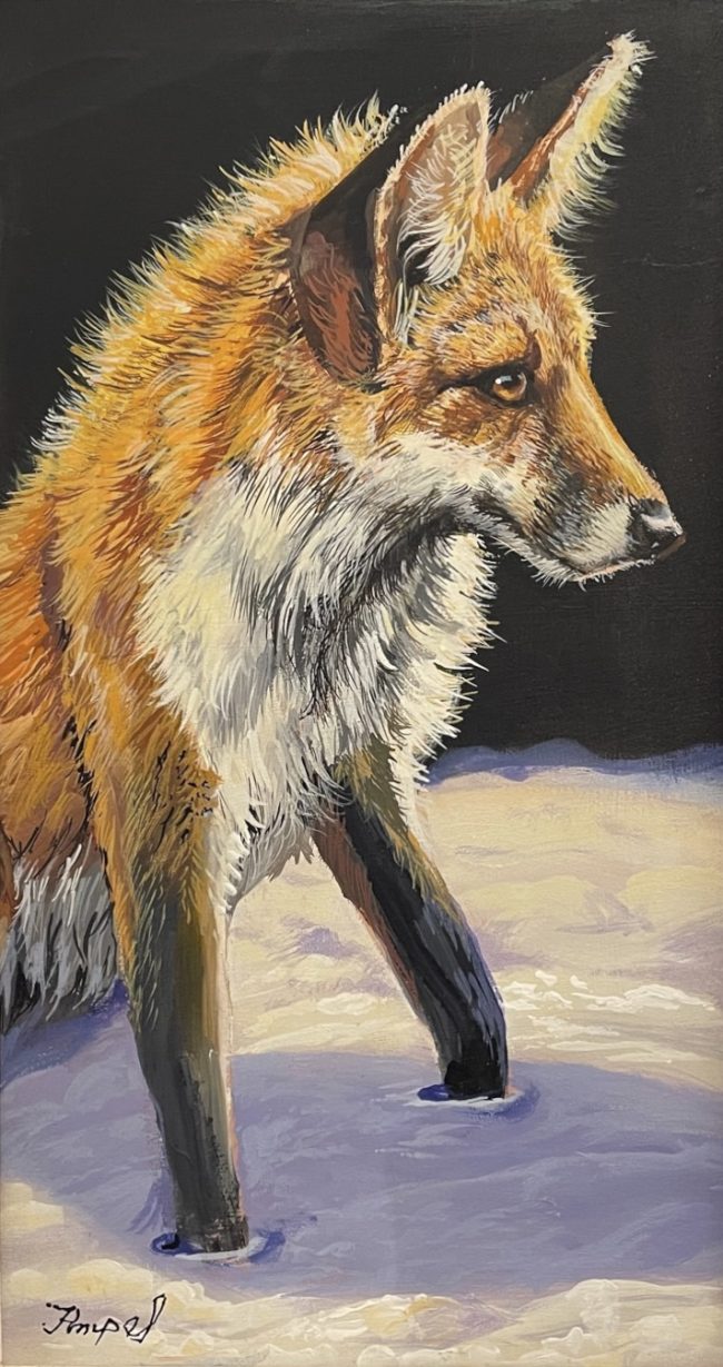 Red Fox
