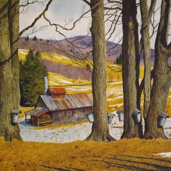 Sugaring in Winter Hollow